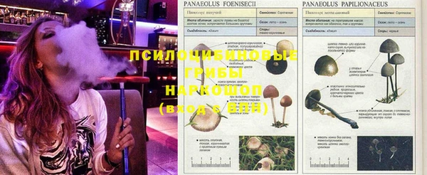 дживик Абдулино