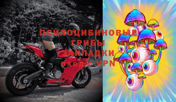круглые Абаза