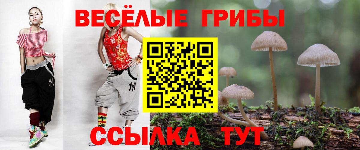 Азов  Галлюциногенные грибы мухоморы  Псилоцибиновые грибы мухоморы  Вход с VPN 