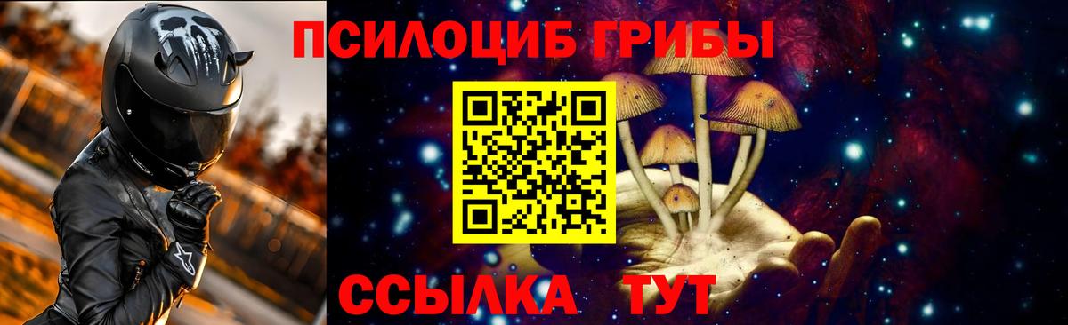 Псилоцибиновые грибы Psilocybe Азов